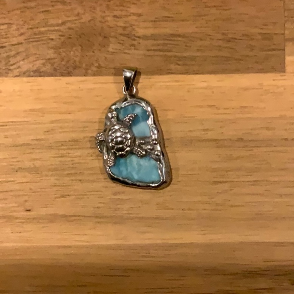 Larimar and 18 Karat White Gold Sea Turtle Pendant